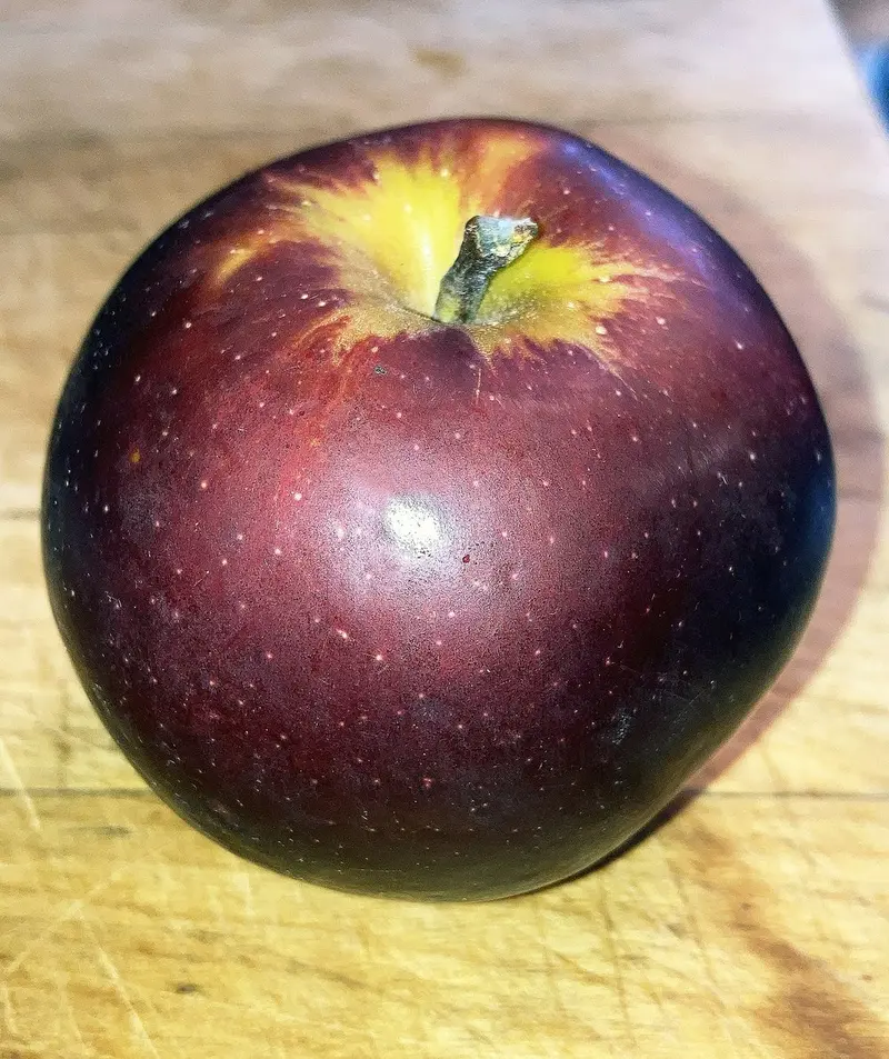 Apfelbaum 'Arkansas Black'