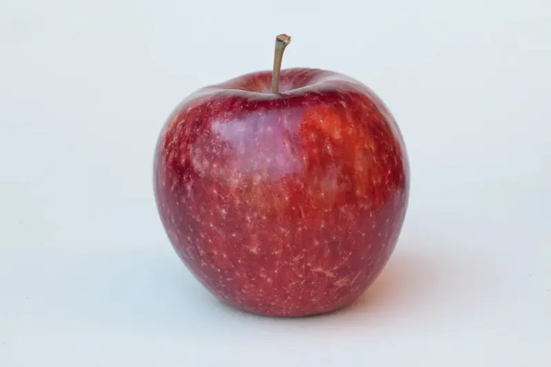 Apfelbaum 'Frost Bite'