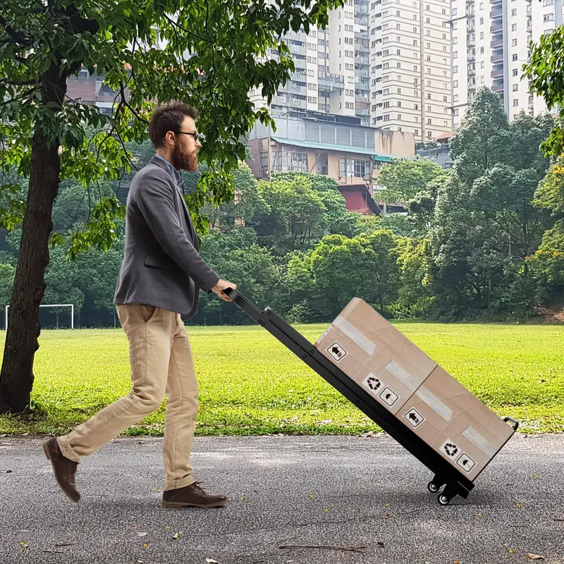 Goplus 2-in-1 umwandelbarer Handwagen und Stehleiter
