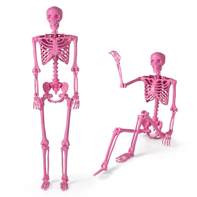 Goplus 5,5 Fuß Halloween-Rosa-Skelett in Lebensgröße mit beweglichen Gelenken