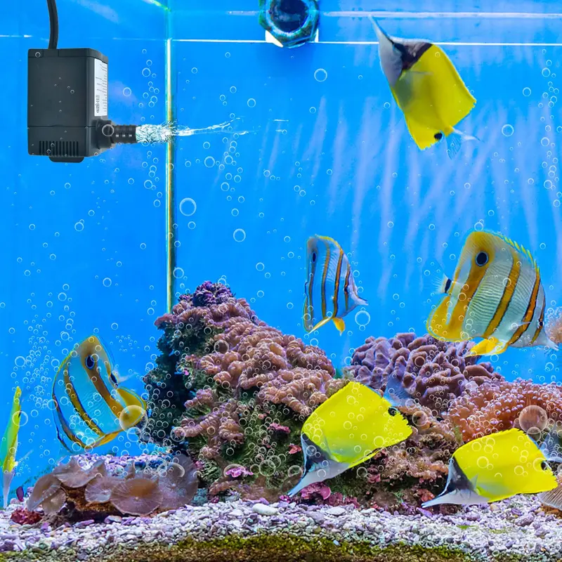 GoPlus-Tauchwasserpumpe mit 240 GPH 2