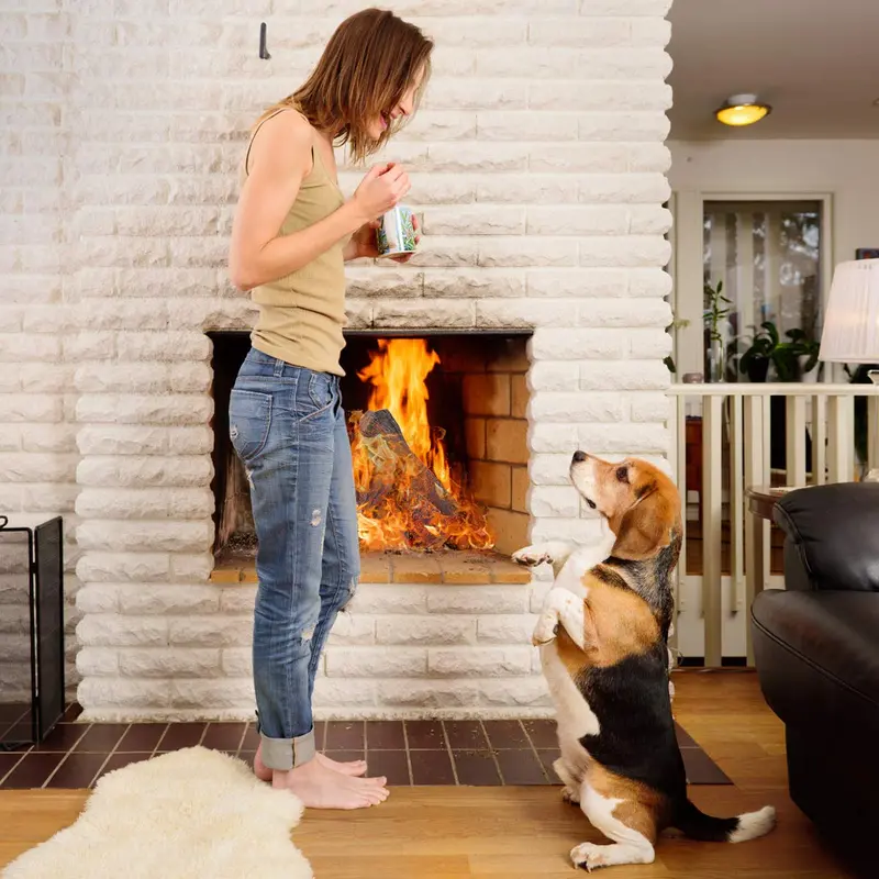 Keramik-Holz-Gaskamin-Log-Set für zugfreie Kamine (9 oder 10 Stück) 2