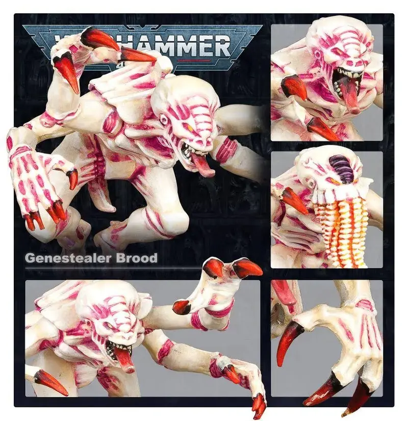 Warhammer 40K Tyraniden: Schlachtformation – Brutswarm